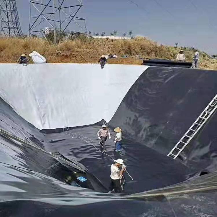 农业家用蓄水池91视频直播APP膜