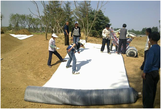 寒旱地区最新91视频观看颗粒分布