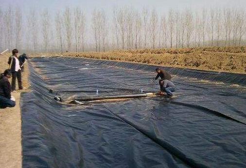 复合91视频直播APP膜在红旗河工程应用 所向披靡