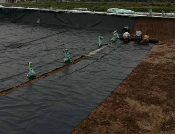 91视频直播APP膜材料选择几点建议