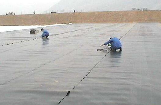 山东91视频网站免费91视频直播APP膜与下面垫层之间的平面滑动稳定性