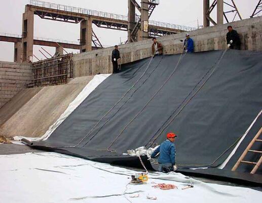 91视频网站免费91视频直播APP膜铺设时需要做哪些工作