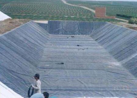 HDPE91视频直播APP膜厂家介绍HDPE91视频直播APP膜不被植物根系破坏的两个前提