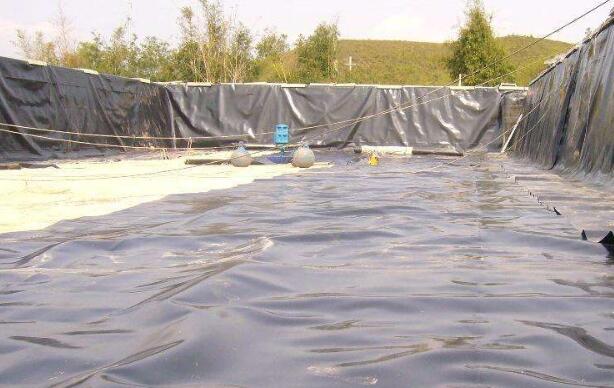 91视频直播APP膜生产厂家提醒91视频直播APP膜铺设完成后要做好相应的消防设施