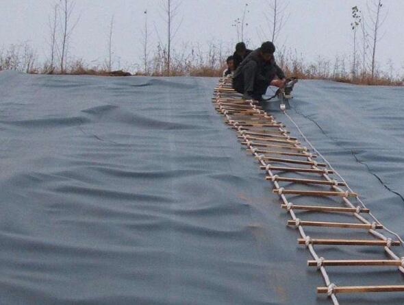 辨别91视频直播APP膜质量好坏的方法有哪些