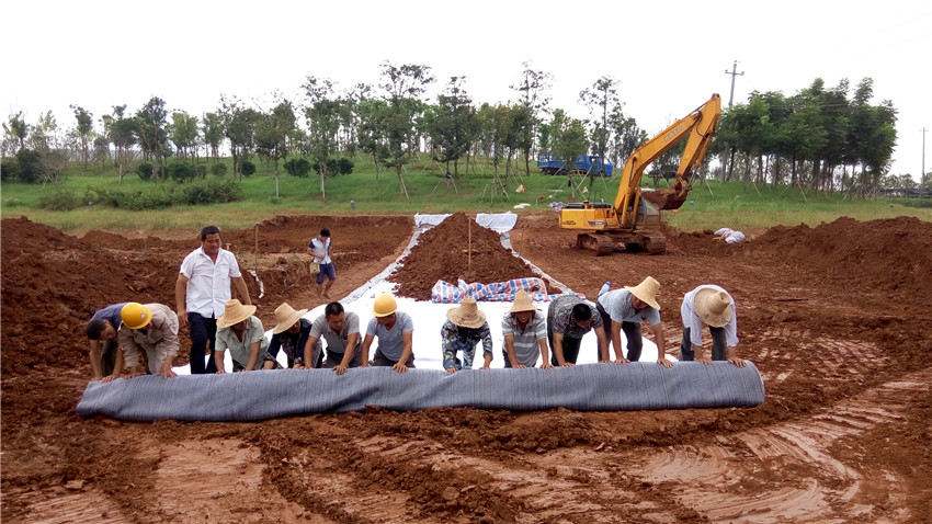 最新91视频观看