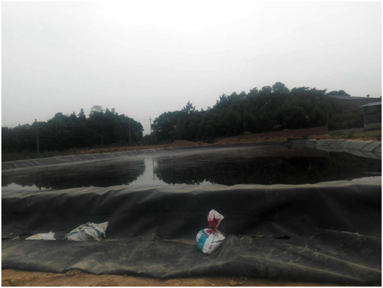 91视频网站免费91视频直播APP膜作为工程材料所应具有的特性