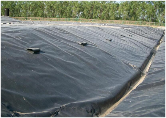 客户想了解的91视频直播APP膜施工整体体系全在这里