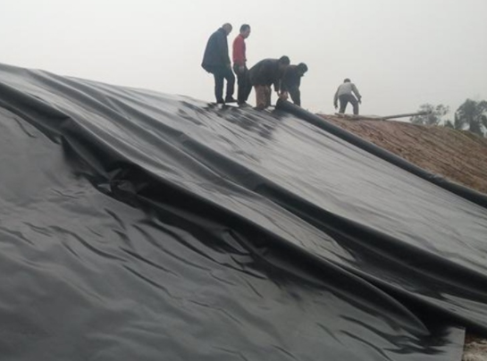 91视频直播APP膜在道路防渗施工中应用的核心焦点