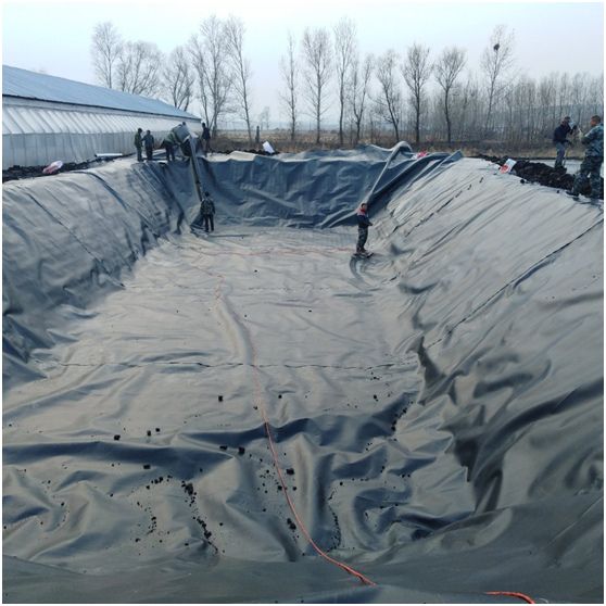 复合91视频直播APP膜的经济效益被广泛推广