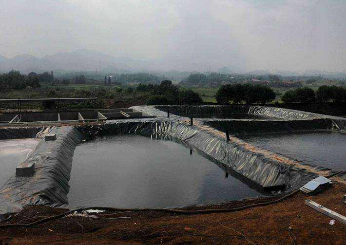 91视频直播APP膜作为工程材料所应具有的特性【其二】