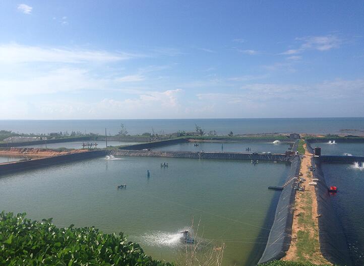 两布一膜布膜如何分布可以满足工程需要？