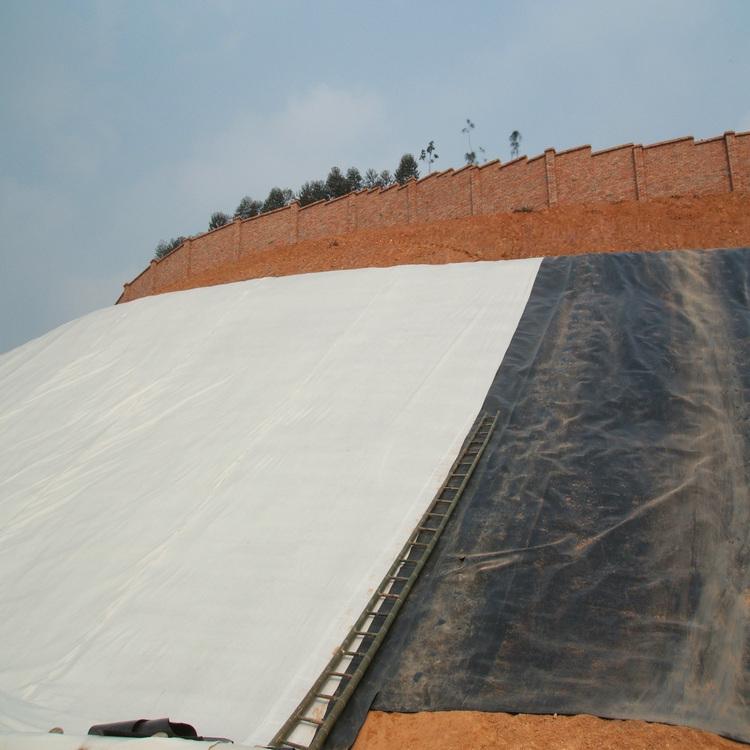 复合91视频直播APP膜的铺设主要包括的内容