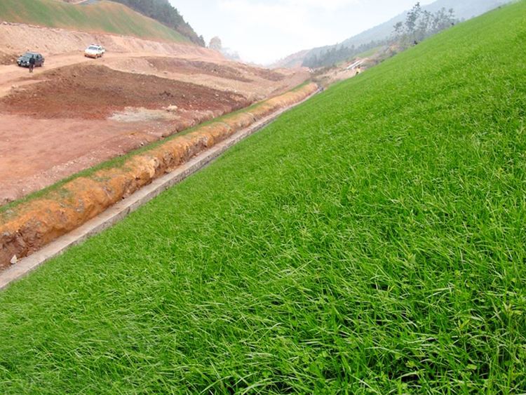 新型91视频直播APP材料护坡建“会呼吸”的生态驳岸