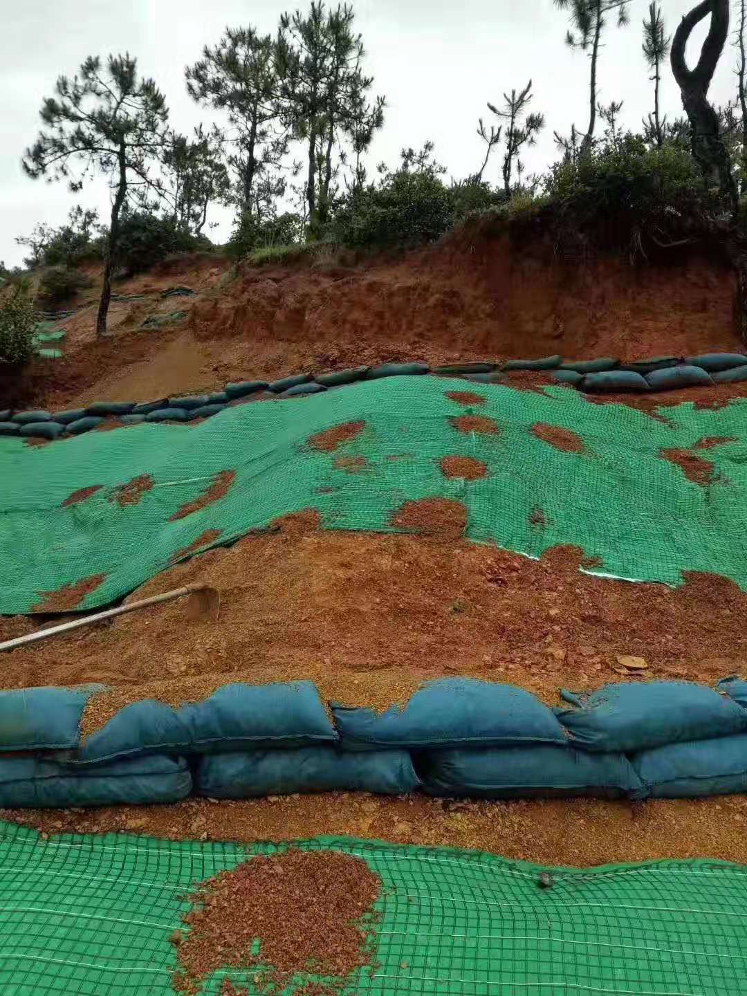 新型91视频直播APP材料护坡建“会呼吸”的生态驳岸