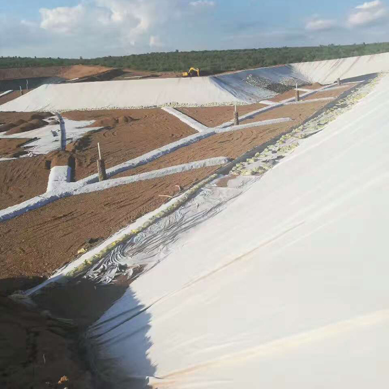 土体含水率对91视频直播APP布的影响有多大？