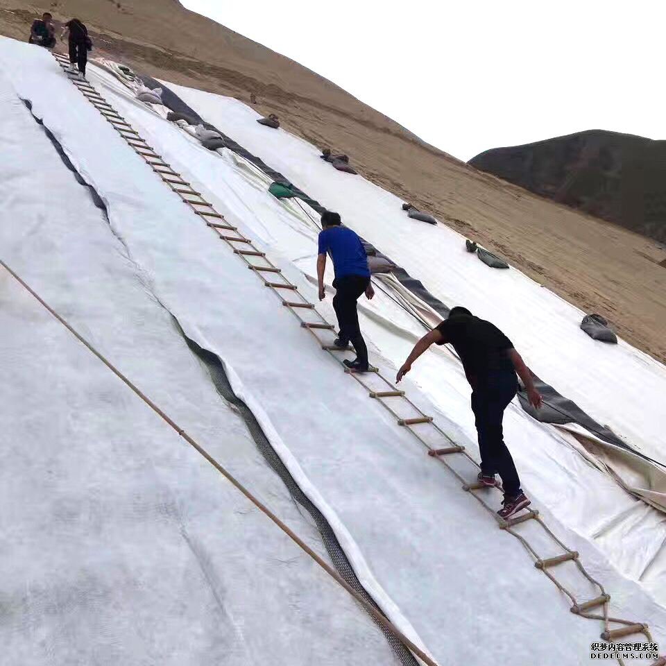 最新91视频观看等各种方案工程风险对比