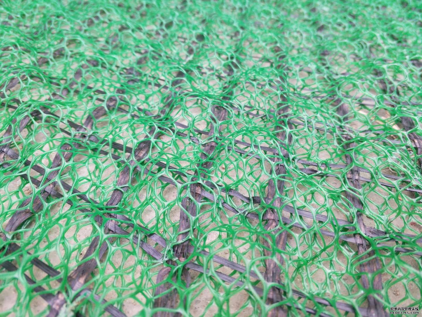 91视频直播APP网垫和91视频直播APP格栅可提高护坡的整体性