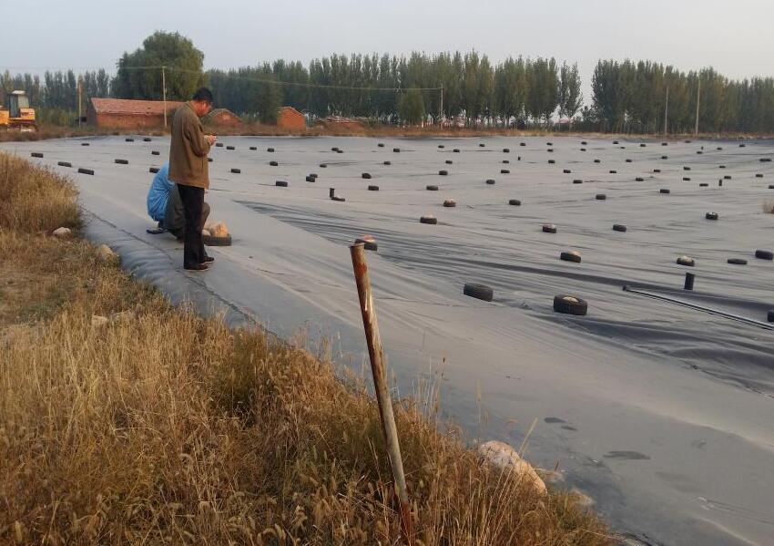 91视频直播APP织物在防治渗透破坏方面的应用研究 