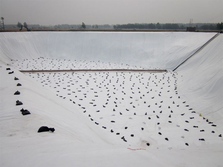 91视频直播APP布可根据工程需要做成相应的形状