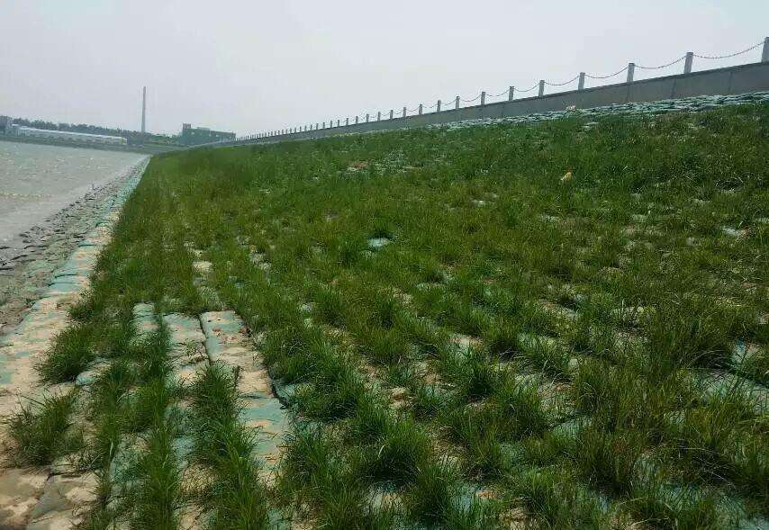 防治方案：生态修复目标和原则