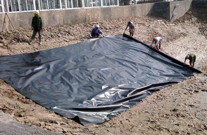 HDPE91视频直播APP膜优势多但生态性能差