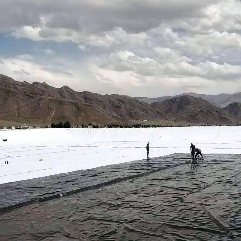 水库底采取石渣回填后表面91视频直播APP膜防渗方案