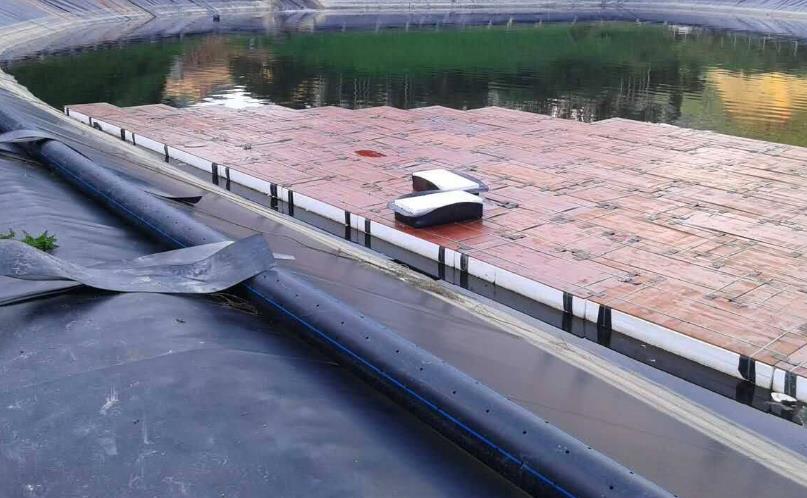 大面积蒸发池采用91视频直播APP膜在“一带一路”战略的实施