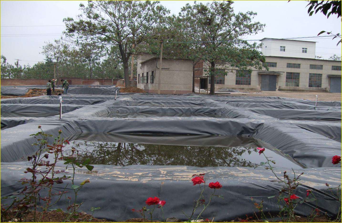 蓄水池蓄水后91视频直播APP膜破坏的主要原因