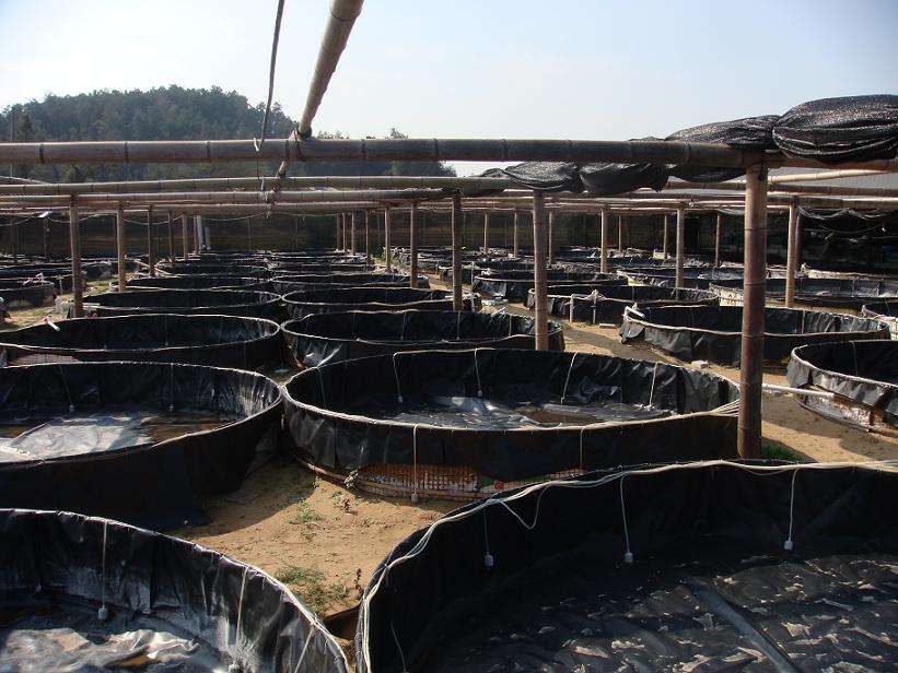 请参考石油储罐基础设施91视频直播APP膜施工方法