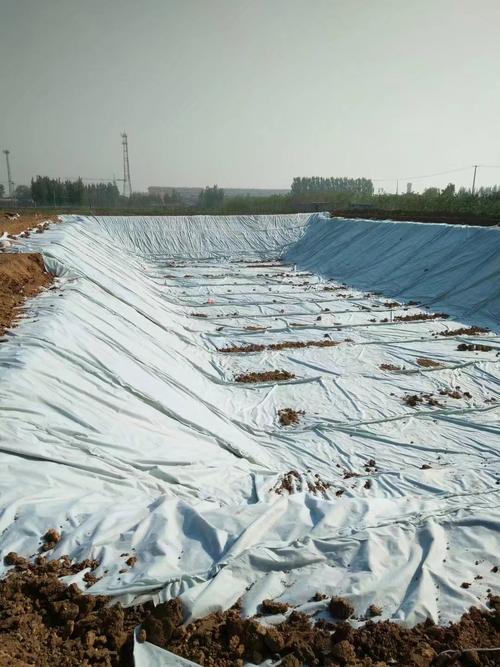 复合91视频直播APP膜防渗的关键在于材料完整性以及铺设严密性