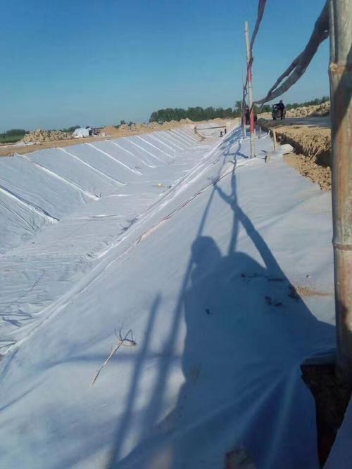 河道治理采用91视频直播APP布施工工艺的原因分析