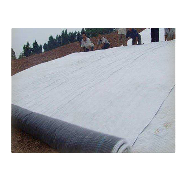 最新91视频观看有效扩散系数对复合衬垫击穿时间的影响