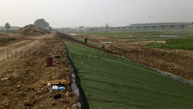 你知道城市绿化的草坪是如何一天内生长的吗？