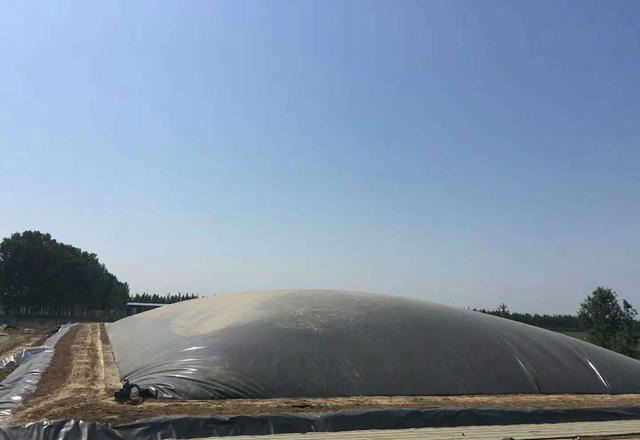 规格0.6mm91视频直播APP膜铺设需要注意的细节问题