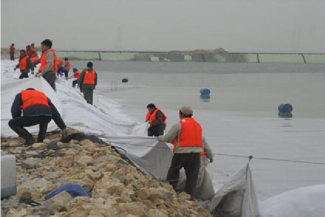 91视频直播APP布在单层围堰及其防渗层施工工艺