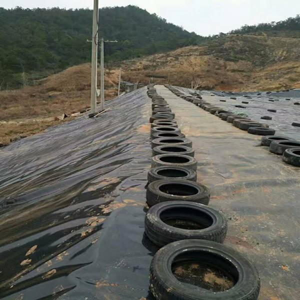 环保领域对91视频直播APP合成材料的关注点是什么？