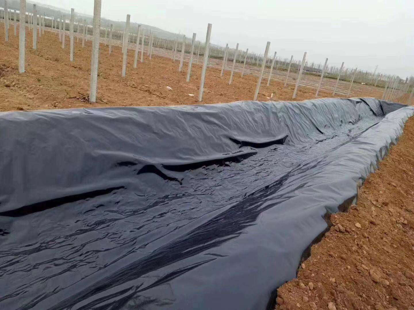 91视频直播APP膜常用于垃圾填埋场、水库等，其渗透性能极其重要