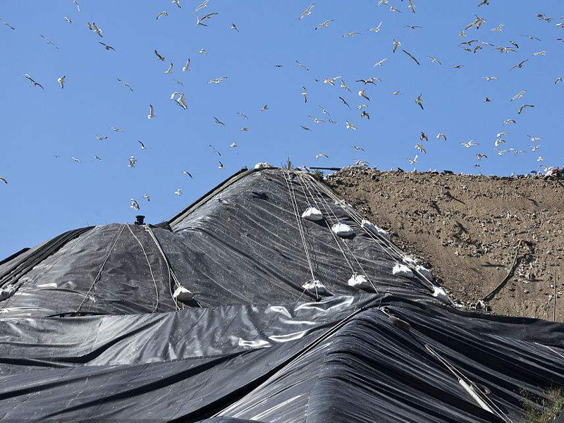 91视频直播APP织物（91视频直播APP布）能阻止隆起而产生的平衡镇压作用的效应
