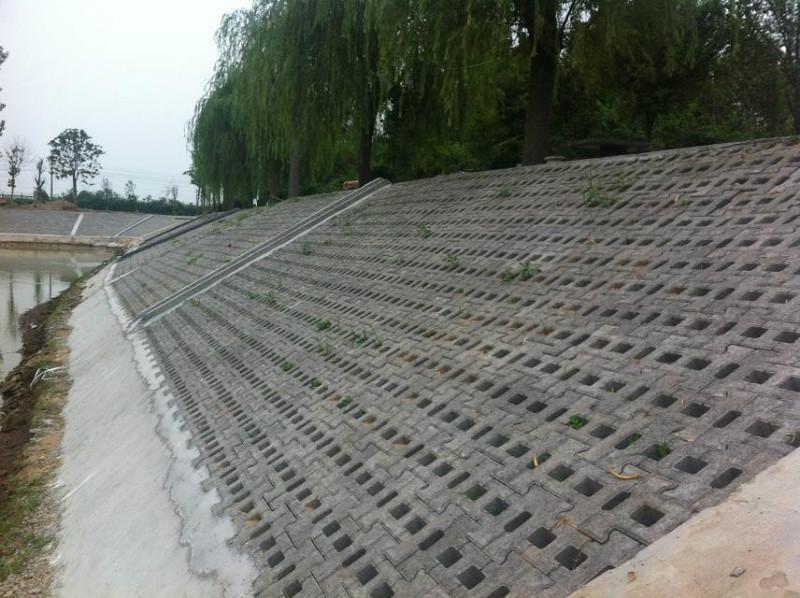 3种常见的坡式护岸技术分别是什么类型？