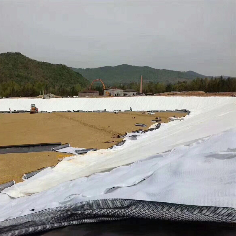 设计容积50万m3的调蓄水池防渗体采用方式？