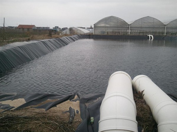 HDPE91视频直播APP膜生产性焊接是在什么基础上进行的？